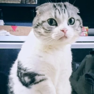 VarunGumma23's profile picture. Ph.D. Student @NTUsg | Past: @MSFTResearch, @iitmadras (@ai4bharat), @bitshyd