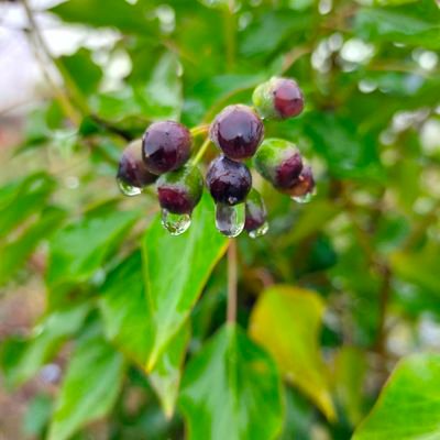 nenettefcoco's profile picture. aider, accompagner,rigoler,partager avec tout le monde et rêvasser dans la nature, si vous venez pour me prendre la tête passer votre chemin.😘 🤣🍀🐝🌾🦌🪻🦋