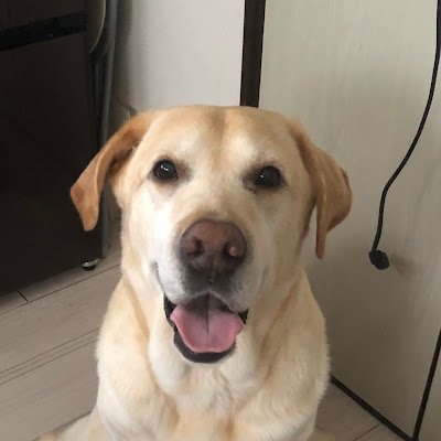 gzMkNT81ck24316's profile picture. 