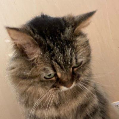 hcoxd73759277's profile picture. Yorosiku