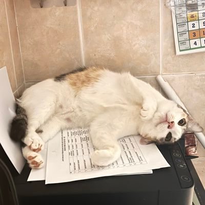 izzatnorzaman's profile picture. i would'nt choose me either