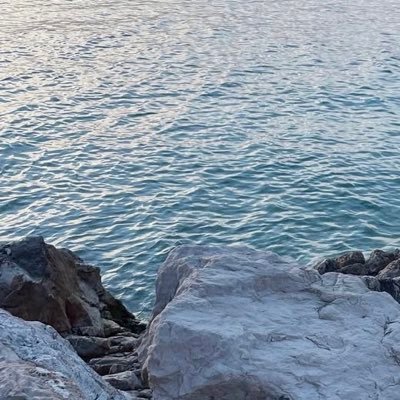 cavalrychoirs_'s profile picture. 투자 • 연구 • 외국어 • 미식/요리 • 독서 • 운동 | 신경다양인의 삶