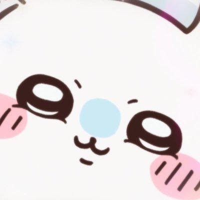 vqqaa43724263_'s profile picture. 柴犬とポメが生息してます