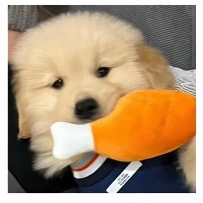 XaPhei's profile picture. 