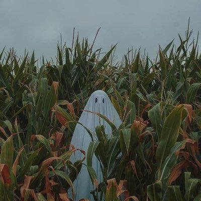 yvsme65552511's profile picture. 02🤍167cm ￤自然癒着.目尻切開.タレ目形成.鼻フル.豊胸.脂肪吸引予定🗓️