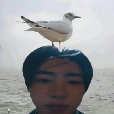 myluvjjs2's profile picture. 