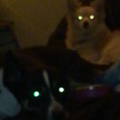 Dat_nerd89's profile picture. Just winging it lol