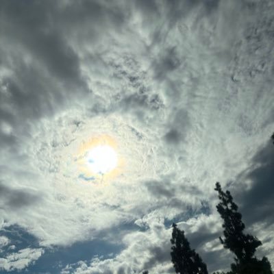 love_dedeee's profile picture. don’t come for me I’m just enjoying the view..posting and reposting don’t take it personal boo.. #barz 😆😋