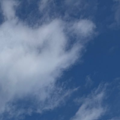 t05041222k's profile picture. 