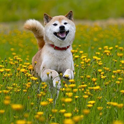 wpseadigitalar's profile picture. 投資歴18年。資産は20億円に達しました。

テーマ株＆中小型株が得意。日本株を中心に、

相場観や個別銘柄、関連銘柄を解説。短期で2バガー以上の大化け銘柄を発掘。

私の投資ブログは毎日更新されており、私から投資に関するすべてを学ぶことができます。