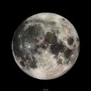 tabby brown - @sleepytabby - Twitter