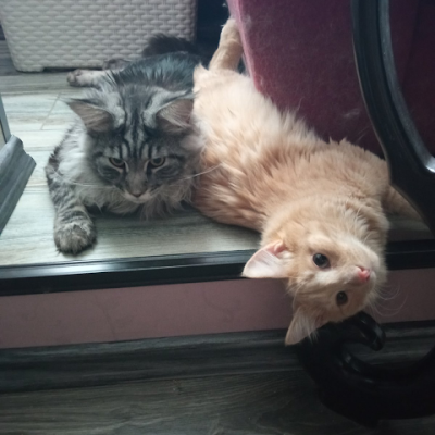 kata05475's profile picture. 