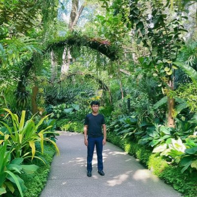 pheasa98's profile picture. 