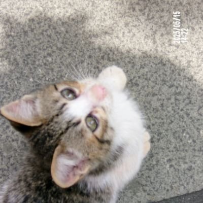 OIchi_noOZ's profile picture. 