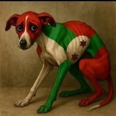 furaha142750's profile picture. 