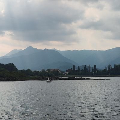 ni_suo94763's profile picture. 探偵さあ???