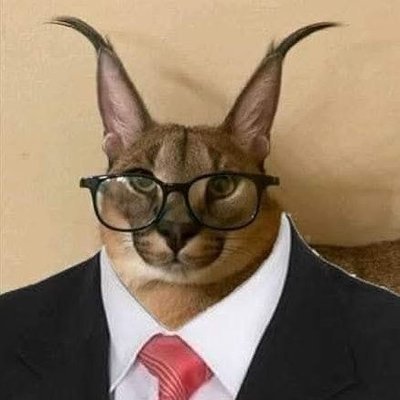 n0kiaaaa's profile picture. Professional cat appreciator. Powered by Hamas' Special Liquid ©
https://t.co/xJOAOrgNlB