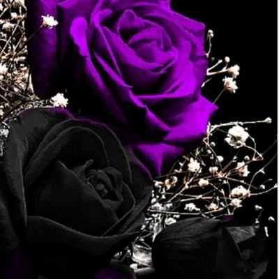 DTMalindi's profile picture. I am an #Afropolitan.