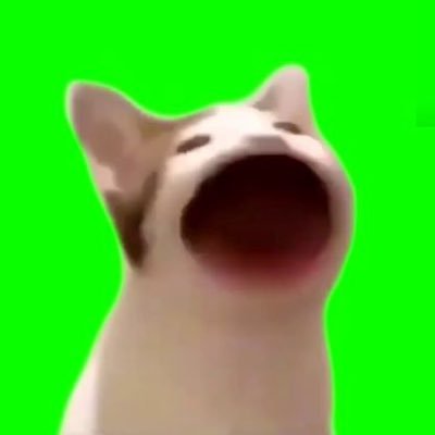 RealPopCatDev's profile picture. $POPCAT Whale | Crypto since ‘18 | here for the memes, nothing else matters.