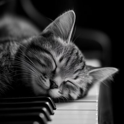 nadine49544's profile picture. Je suis Nad, simple et sincère. J’aime les échanges authentiques et partager de bons moments avec les gens dans la gentillesse et la bienveillance.