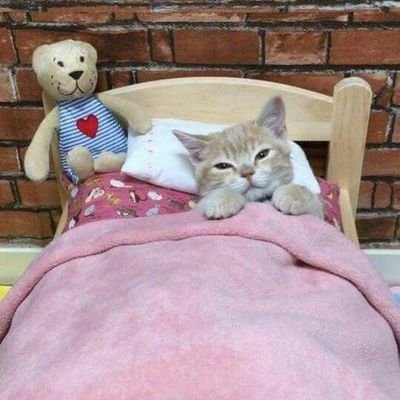 yilmoyilmo's profile picture. 회뜽 제철 음식 먹어!