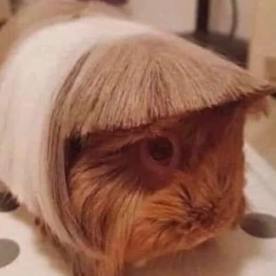 clariceBee4U's profile picture. 