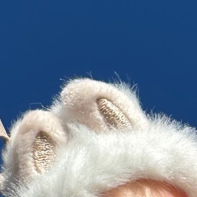 fumiseya_yu's profile picture. BUDDiiS／ 𝐍𝐞𝐱𝐭 ➪ 12/20🫶🏻