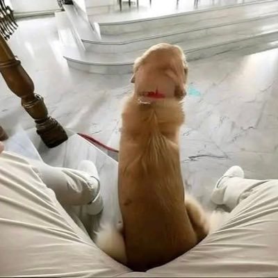 omotwothirty's profile picture. Rip Mom 🤍🕊️ | Data Analyst | Vehicle salesman