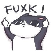 MikoVelop's profile picture. 