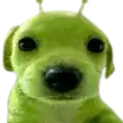 NTsugaa's profile picture. S