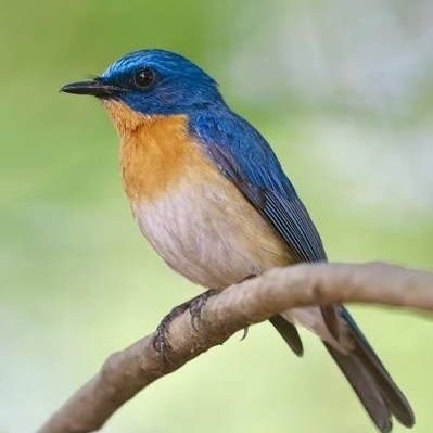 5pix1s's profile picture. Chasing sunlight, stories, and good vibes.