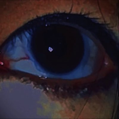 Alan36880880's profile picture. 