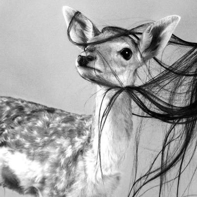 Najid_1221's profile picture. أنـتِ قصيــدة كُل شـاعـر تمناهـا 🤍