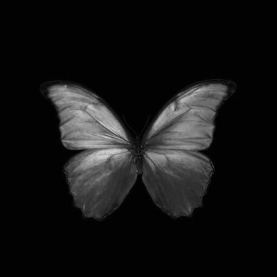 xxx703000's profile picture. عشقي النصر💛