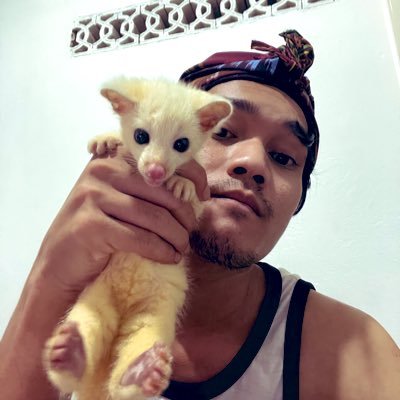 fadilrijalarfas's profile picture. 