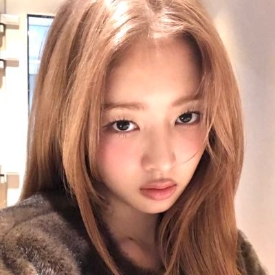 misobundle's profile picture. 