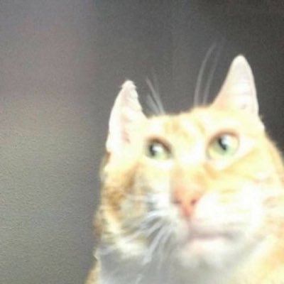 milli_imp's profile picture. 