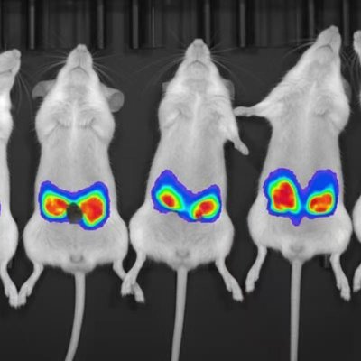 kknd190122493's profile picture. 