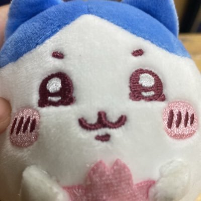 harukakunlover_'s profile picture. yamifuyu/winter/pin - Enfp / 13 . • #櫻井遥 Riako!!! | - หวีดฮารุกะจำนวนมาก รักฮารุกะที่สุดในประเทศชาติ แม่น้องมู สุนหนึ่งสุนสี่ private: @yamifuyusudlor