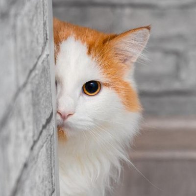 love__yo_ki_'s profile picture. プロ個人投資家｜投資歴22年。長期視点の企業分析とリスク管理を軸に、日本株を中心とした資産運用を行っています。
市場の構造、資本の働き方、投資判断のプロセスなど、実務的な視点から学べる情報を発信。

数字ではなく「再現性のある思考法」を重視し、安定した資産形成につながる知識を共有しています。
投資をより深く理解したい方