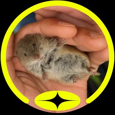 jeose10977's profile picture. Innovation lover | Driving the Web3 and Ai of tomorrow | Pioneer of @DabbaNetwork @Peaq