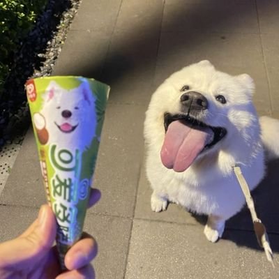 Zylu_'s profile picture. no life