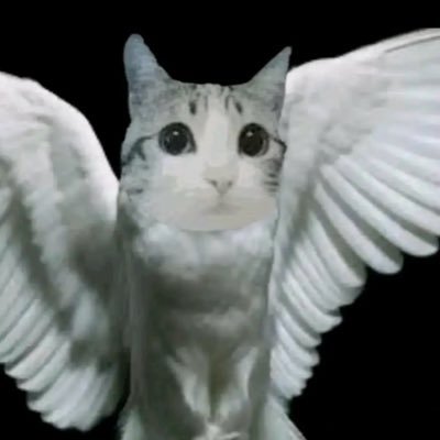 roshux's profile picture. iPod touch 4th generation white (8gb)