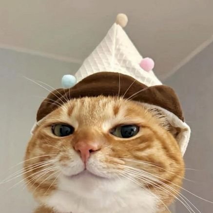 0xMemenk's profile picture. Part-Time retard.
building those figs again to make it all back, in thousand trades (probably).
current : 4 figs.