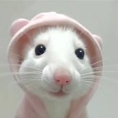 web3muse's profile picture. Web3 Simplifier | Pharmacy student | Health awareness for everyday life