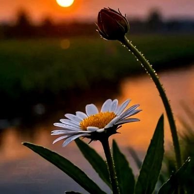 TurkanTurUgural's profile picture. Evliyim💍