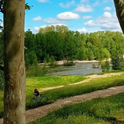 cigaloise's profile picture. milieu Médical

ex élue:

 répond. JAMAIS aux messages privés . Même  en Anglais.