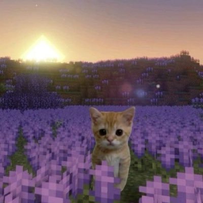 lzma_s's profile picture. 