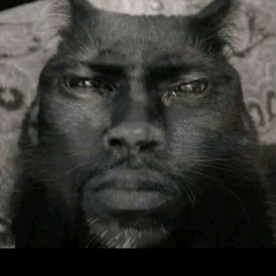 HAleks13534's profile picture. 