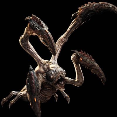 Bigboi56460475's profile picture. 